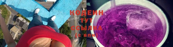 ПСИЛОЦИБИНОВЫЕ ГРИБЫ Баксан