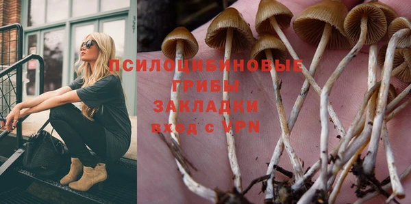 мдпв Балахна